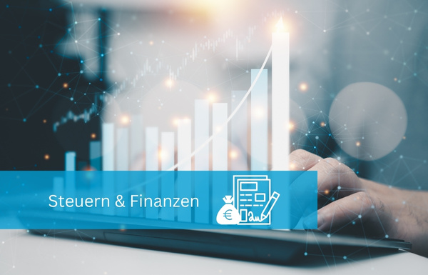 Expertenrat Steuern Finanzen
