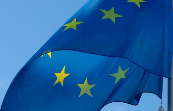 Europapolitische Positionen