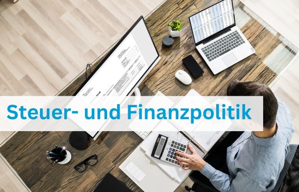 Steuerpolitik